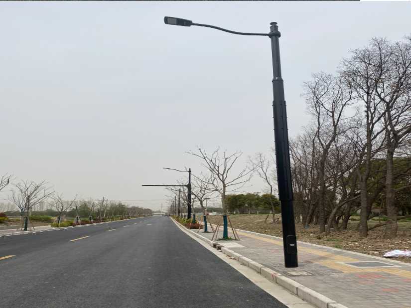 简阳市上海综合杆 太阳能路灯工程